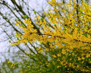 Синоптики порадували прогнозом на середу