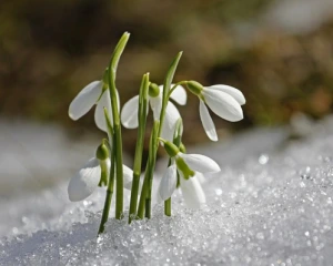 Весна набирає обертів: синоптики дали прогноз на 22 березня